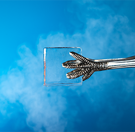 Hielo cuadrado en mallorca